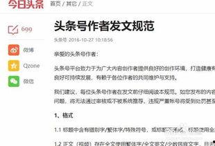 现在头条有哪些规则,揭秘今日头条最新规则解读