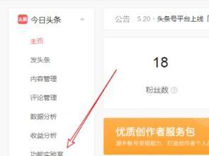 头条怎么加入电商平台,头条教你如何快速加入电商平台