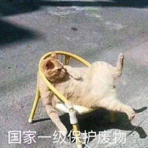 看戏吃瓜头像沙雕,看戏吃瓜，趣味横生的网络潮流